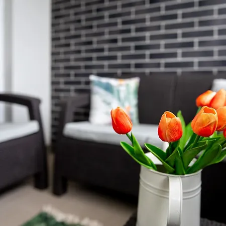 White Apartman- With Free Garage