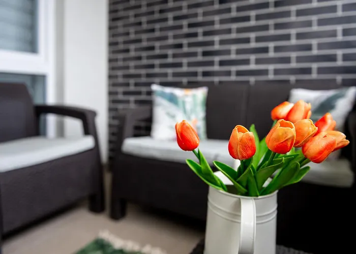 White Apartman- With Free Garage